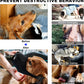 Dog First Aid Kit - Pet First Aid Kit for Dogs Pet Emergency Kit with Pets First Aid Supplies for Home Camping Hiking Traveling